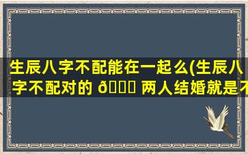 生辰八字不配能在一起么(生辰八字不配对的 🐛 两人结婚就是不好吗)